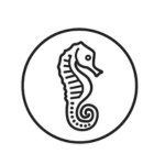 Hippocampe